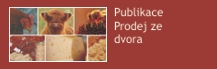 Prodej ze dvora